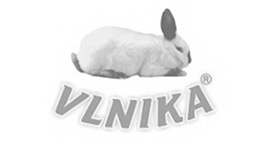 vlnika